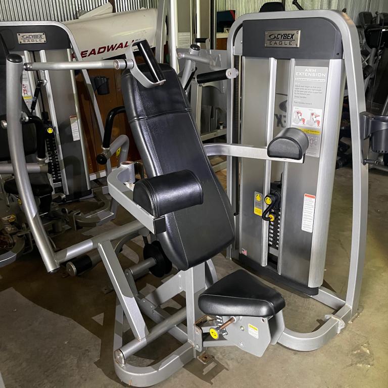 Cybex Eagle Arm Extension