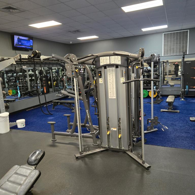 Gym Equipment