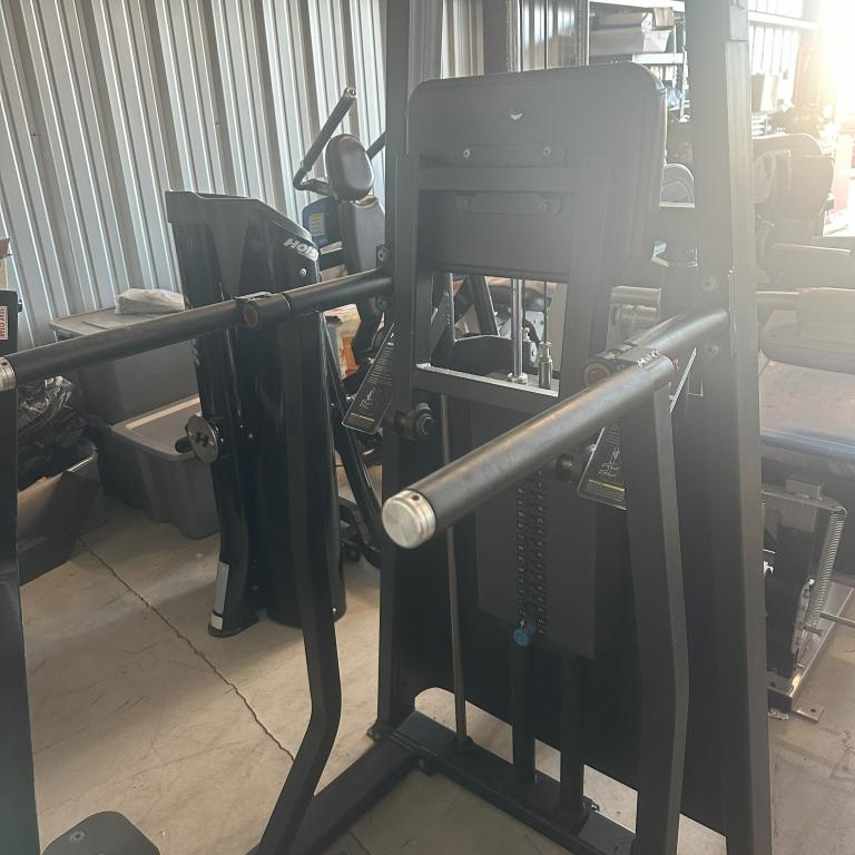 Precor Chin Dip Assist